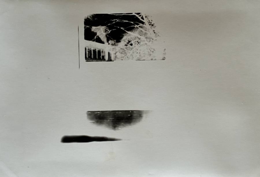 Pinhole photograph: an image of branches and buildings above two dark horizontal shapes